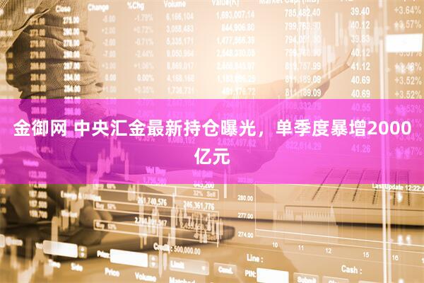 金御网 中央汇金最新持仓曝光，单季度暴增2000亿元