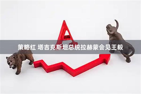 策略红 塔吉克斯坦总统拉赫蒙会见王毅