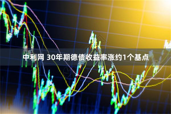 中利网 30年期德债收益率涨约1个基点