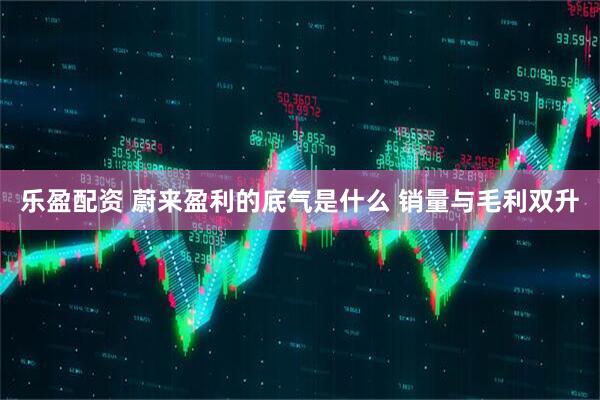 乐盈配资 蔚来盈利的底气是什么 销量与毛利双升
