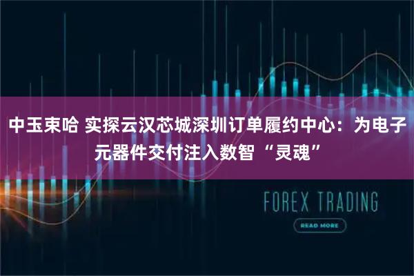 中玉束哈 实探云汉芯城深圳订单履约中心：为电子元器件交付注入数智 “灵魂”