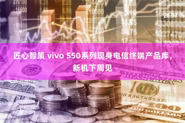匠心智策 vivo S50系列现身电信终端产品库，新机下周见